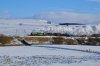DSC_0005.jpg