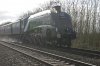60009 2.jpg