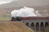 Bahamas-(8)-Lunds-Viaduct-1200web.jpg