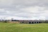 _DSC9951.jpg