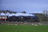 45231-WCML Light Engine-18FEB19 ©copyright 2019-Peter Ainsworth.jpg