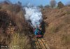 DSC_3379hr-0.jpg
