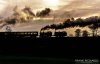 DSC_3359hr-0.jpg