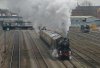 Small Heath 1.jpg