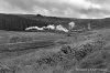 _DSC1699 bnw.jpg