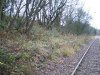 483507_426201147433548_55133217_n_opt.jpg