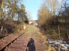 DSCF0039.JPG