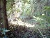 Dreemskerry Quarry Railway (7).jpg