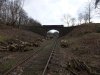 DSCF0050.JPG