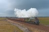 DSC_7394.jpg