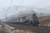 DSC_7408.jpg