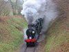 Mid Hants Gala 1st March 2013 015.jpg