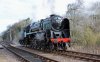 NNR-44.jpg