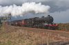 DSC_7571.jpg