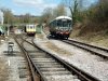 Buckby20130406-2.jpg