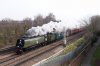 DSC07180w.jpg