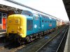 07 55019 Salisbury 030513 MH.JPG