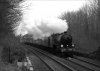 LNER Thompson B1 Class 4-6-0 61306 Mayflower B&W.jpg