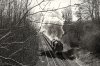 1431m 46233 Gunthorpe, nr Manton 09-03-19.jpg
