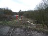 DSCF4453.JPG