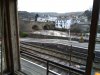 IMG_20190313_122825.jpg