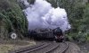 CCE 48151 1b.jpg