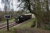 178 Leamland Woods 17.3.2019.jpg