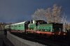 65 Sheffield Park 17.3.2019.jpg