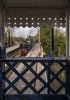 DSC_3417 60163 Albrighton 230319.JPG
