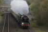 DSC05209.jpg
