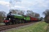61306 Kingscote South Box 23.3.2019.jpg