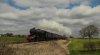 8F 48151.jpg