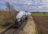 DSC_3465 48151  Haston 270319.JPG