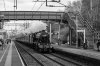 EOS 5D Mark IV_190327_7687.jpg
