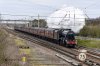 DSC_15698.jpg