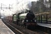 DSC02177.JPG