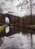 DSC_3476 70000  Uppermill Viaduct 300319.JPG