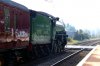 460-61306-Mayflower_Blakedown.jpg