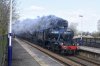 DSC_15850.jpg