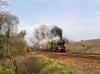 253A6613.tif final.jpg