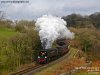 34092 and 7029.003.jpg