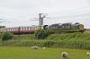 03-D9009-Alycidon,-Wooden-fbook.jpg