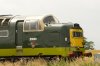 05-D9009-Alycidon,-web.jpg