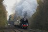 DSC05245.jpg