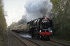 DSC05256.jpg