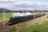 DSC_15907.jpg