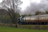 09_462-70000-Britannia_Bearley.jpg