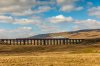 EOS 5D Mark IV_190413_7895-2.jpg