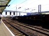 DSC00219-RESIZED.JPG