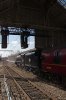 IMG_3237lr.jpg